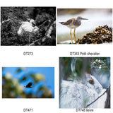 Sous-verres Drone Terra Photographies imprimés sur demande