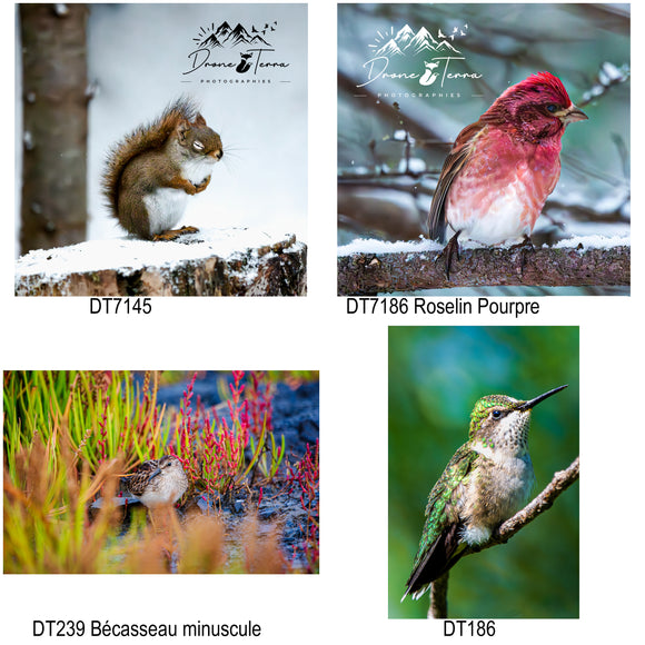 Sous-verres Drone Terra Photographies imprimés sur demande