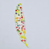 Fruits - Signet plume