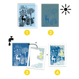 Cyanotype / Au clair de la lune