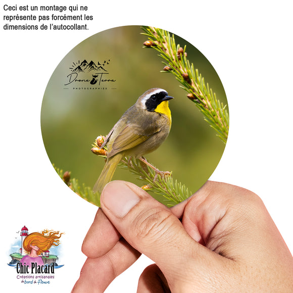 Autocollant - Drone Terra #077