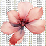 Collection de fleurs - HTV imprimé (à l'unité - petits)