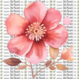 Collection de fleurs - HTV imprimé (à l'unité - petits)