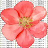 Collection de fleurs - HTV imprimé (à l'unité - petits)