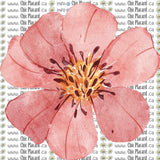 Collection de fleurs - HTV imprimé (à l'unité - petits)