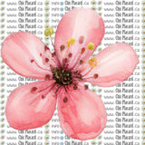 Collection de fleurs - HTV imprimé (à l'unité - petits)