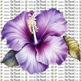 Collection de fleurs - HTV imprimé (à l'unité - petits)