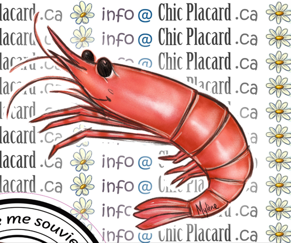 Crevette de Matane- autocollant en vinyl
