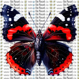 Collection de papillons - HTV imprimé (à l'unité, grands)