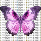 Collection de papillons - HTV imprimé (à l'unité, grands)