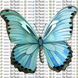 Collection de papillons - HTV imprimé (à l'unité, grands)