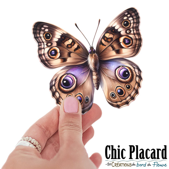 Papillon de nuit- autocollant en vinyl