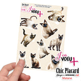 V18 Chats siamois - J'en voeux + autocollants découpés à la forme