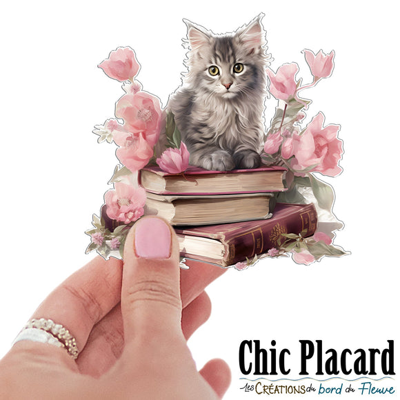 Chats & livres- autocollant en vinyl