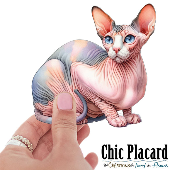 Chat Sphynx #1- autocollant en vinyl