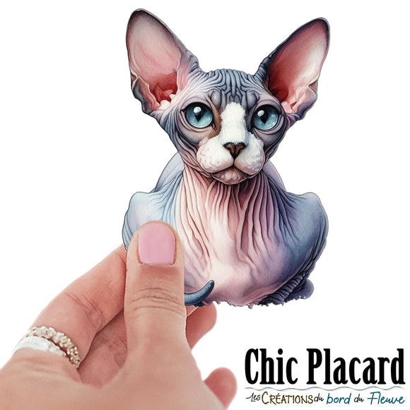 Chat Sphynx #2- autocollant en vinyl