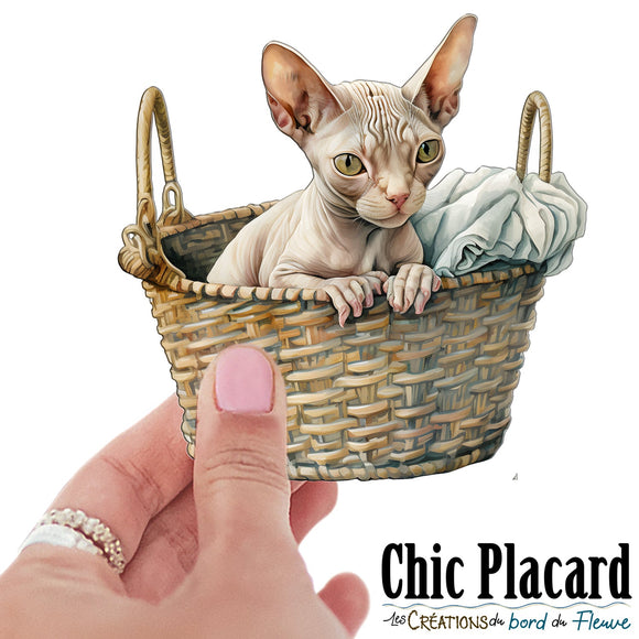 Chat Sphynx #3- autocollant en vinyl