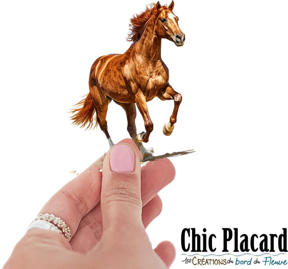 Cheval- autocollant en vinyl
