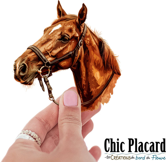 Cheval - tête- autocollant en vinyl