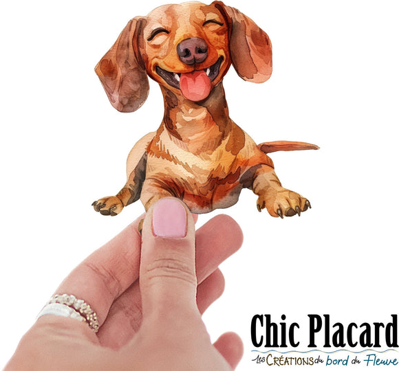 Chien teckel rigolo- autocollant en vinyl