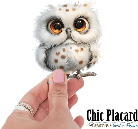 Chouette- autocollant en vinyl