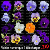 Fichier d'image numérique : Fleurs - les pensées