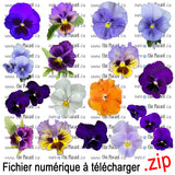 Fichier d'image numérique : Fleurs - les pensées