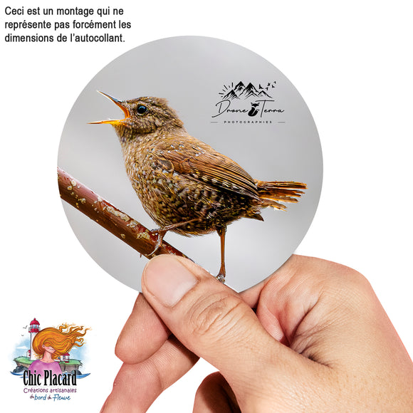 Autocollant - Drone Terra #012