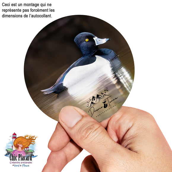 Autocollant - Drone Terra #038 Fuligule à collier