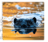 Castor et son reflet - Drone Terra - Gobelet en acier inoxydable