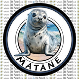 Phoque de Matane - tasse Stanley 40oz