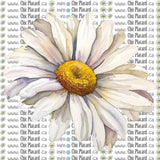 Collection de fleurs - HTV imprimé (à l'unité - petits)