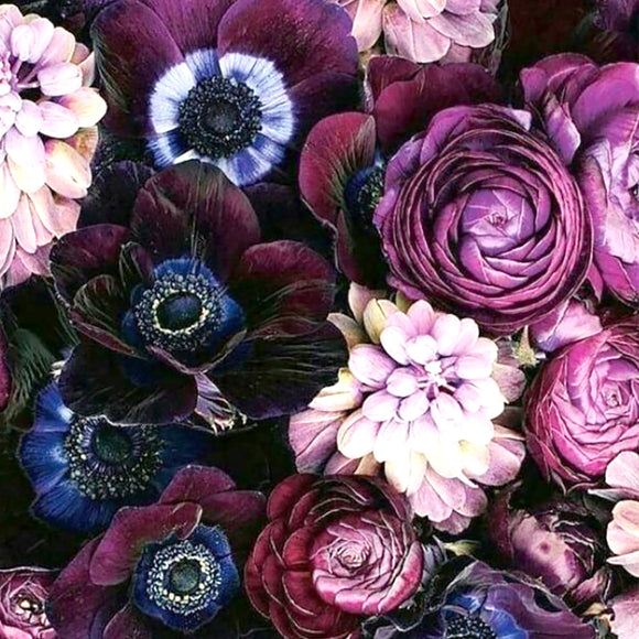 Fleurs pourpre - lm191 - Lingette magique