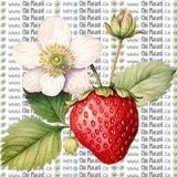 Collection de fleurs - HTV imprimé (à l'unité - petits)