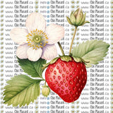 Collection de fleurs - HTV imprimé (à l'unité - petits)