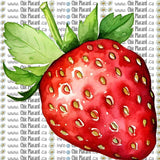 Collection de fleurs - HTV imprimé (à l'unité - petits)