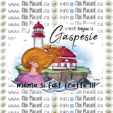 Fait frette en Gaspésie - Bouteille 12oz