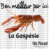 Homard - T-shirt TG/XL