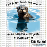 Loutre - T-shirt G/L