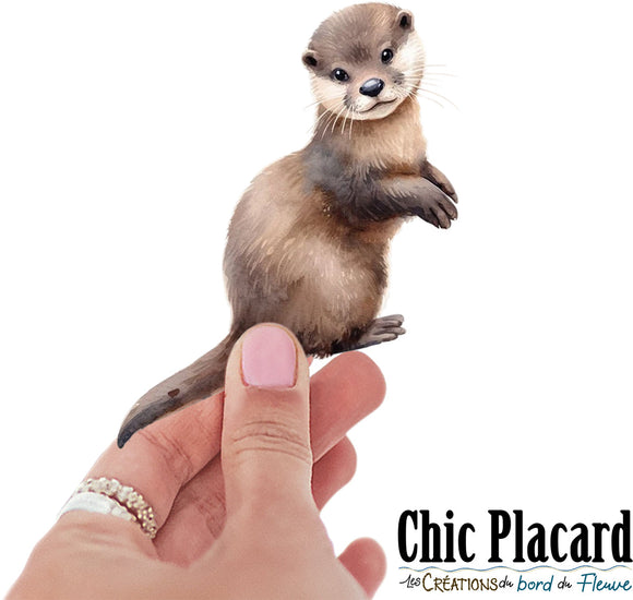 Loutre- autocollant en vinyl