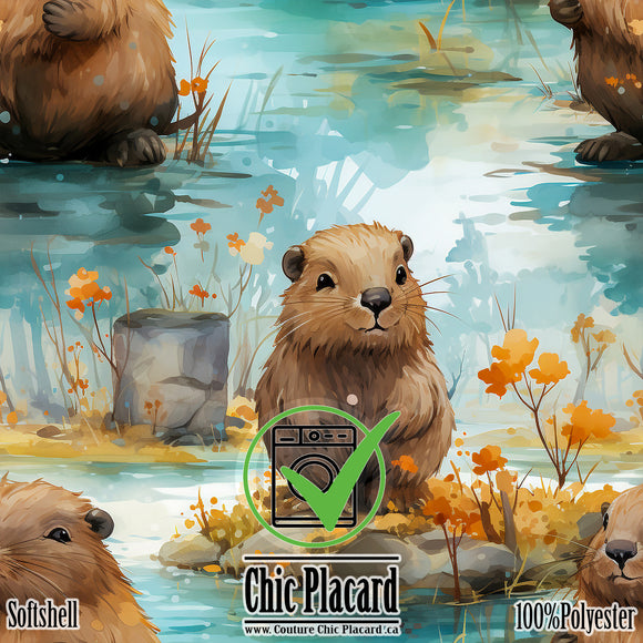 Castors - Softshell (au 1/2m)