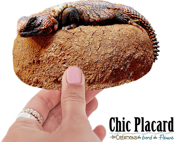 Lézard uromastyx Newton au chaud- autocollant en vinyl