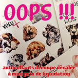 Sac de surprises J'en voeux +