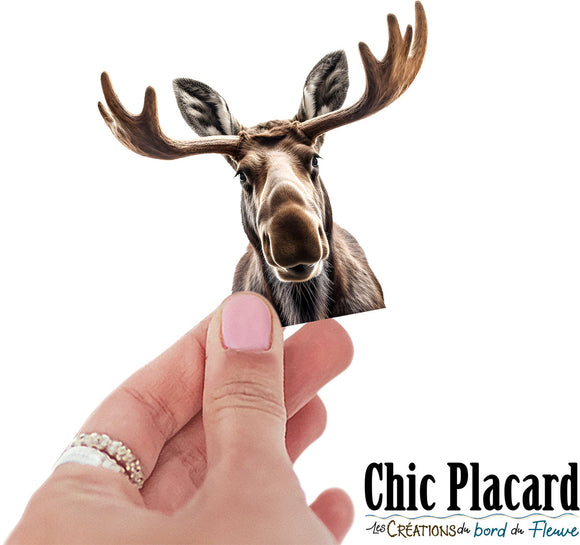 Orignal- autocollant en vinyl