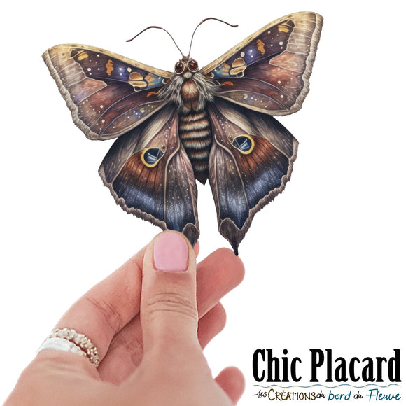 Papillon de nuit #2- autocollant en vinyl