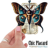 Apothicaire- Bouteille en inox 20oz