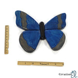 Papillon bleu par Joël Corbin