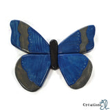 Papillon bleu par Joël Corbin