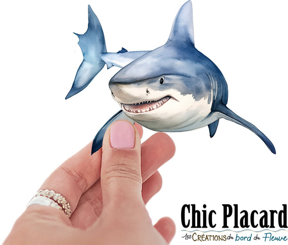 Requin- autocollant en vinyl