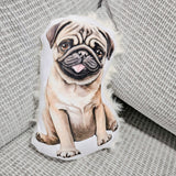 Chien pug - petit coussin poilu